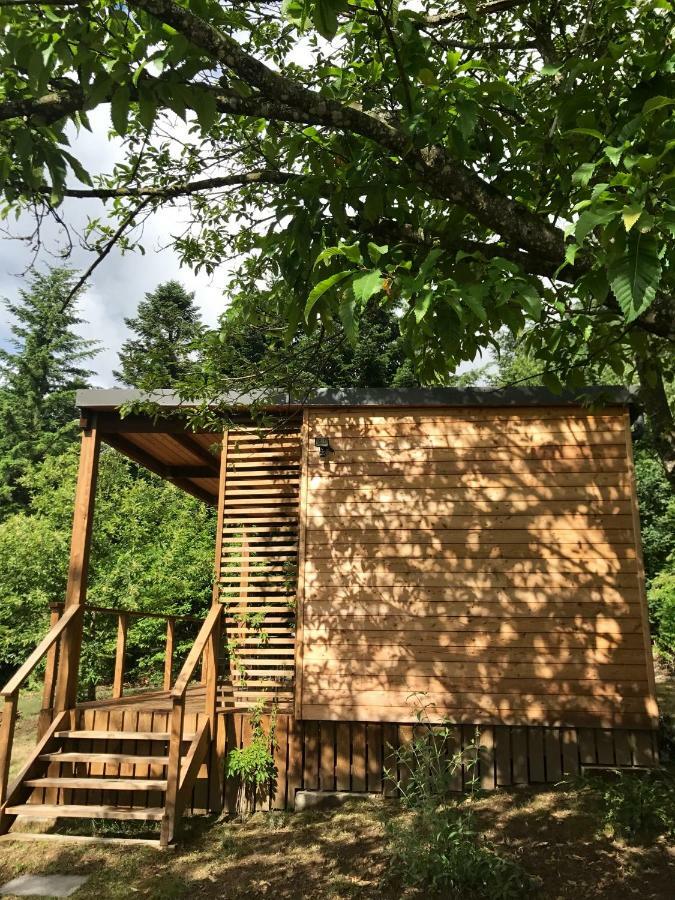 La Canopee 19 Lamaziere-Basse Exterior foto